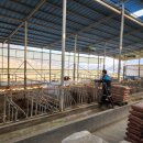 인우 동물병원 이미지