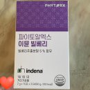 빌베리효능 눈건강을 평소에 꾸준히 챙기기, 이뮨빌베리 후기