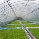 신명농장 이미지