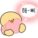 데일리딜라잇 이미지