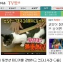 라이코스 이미지