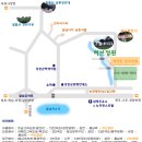 강진허브 이미지