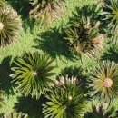 상가리농장 이미지