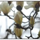 산새랑 게스트하우스 이미지