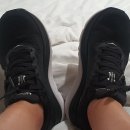 가비오타(GAVIOTA) 이미지