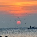 꽃바위 외국인 특화거리 이미지