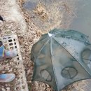 감불농장 이미지