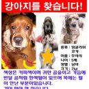 성북동5 이미지
