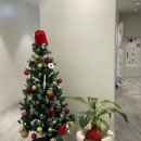 센트럴안과의원 이미지