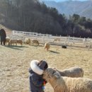 재환목장 이미지