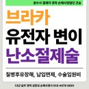 브라카주