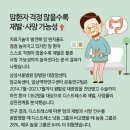 개털 깍는 강산이네 이미지