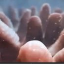 김관호한의원 이미지