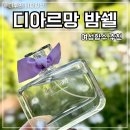 여성향수 추천 디아르망 밤쉘 솔직후기 플로럴향수인데 지속력좋은향수 인정한 이유