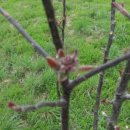 가실농장 이미지