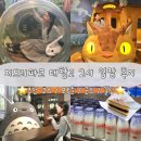 미니케이크샵 minicake.shop(작은케이크가게) | 나고야 지브리파크 대창고 | 입장시간 추천 동선 굿즈 포토존 완전 정리