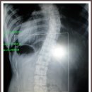 파주시장애인주간보호센터 이미지