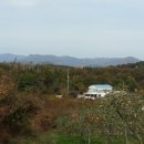 솔마루농장 이미지