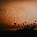 소룡의원 이미지