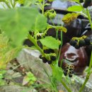 낮과밤사이 이미지