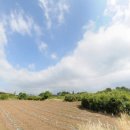 유수암마을 이미지