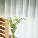 오뜨아이 이미지