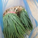 병영5일시장 이미지