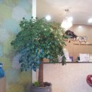 해피트리치과의원 이미지