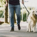 개발바닥 이미지