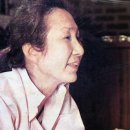 시네텔 이미지