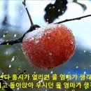 나훈아 - 홍시 이미지