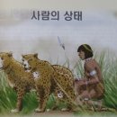 ● 흑인들만 사는 섬 이미지