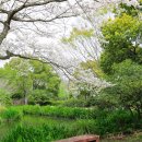 걸매 Daum카페