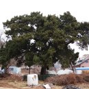 가금경로당 이미지