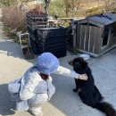 오복민박 이미지