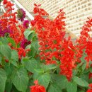 다온노인복지센터 이미지