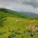 지구촌보물창고시리즈(369)/♥점봉산 곰배령 이미지