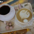 레아스톡샵