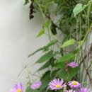 (사)두란노서원