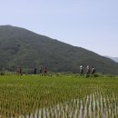 힐링마인드 이미지