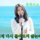 북쪽으로 흐르는 별/AI가수 이미지