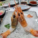 더클래식CC | 제주 12월2일더클래식cc라운딩후기