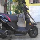 강남-240 이미지