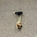 신촌역(2) 이미지