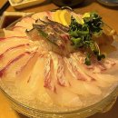 사와스시 | 이태원 스시 맛집/ 이태원 소개팅 맛집/ 이태원 데이트 맛집/ 이태원 분위기 좋은 회 맛집 스시사와