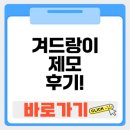 야탑 밴스의원 이미지