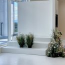 NR-17[완주로]-하-401 | 전주 아기 사진 백일사진 돌사진 성장앨범 추천 1017스튜디오 /완주 아기사진(내돈내산)