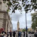 화이트홀 이미지