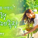 연두목장 이미지