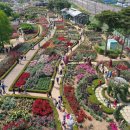 곡성-061 이미지